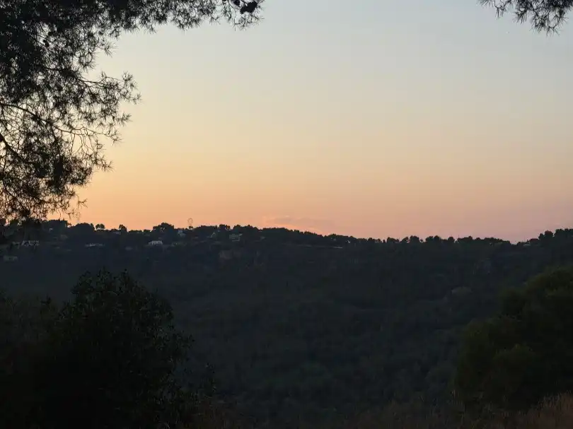 Vista exterior de Casa o chalet para compartir en Cervelló con Calefacción, Jardín privado y Parquet