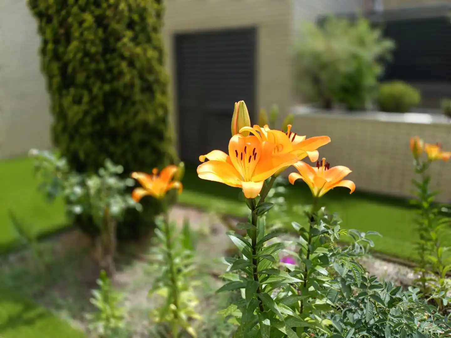Flat for sale in Calle Rembrandt, 4, El Quiñón Garden of Flat for sale in Seseña with Air Conditioner, Heating and Terrace