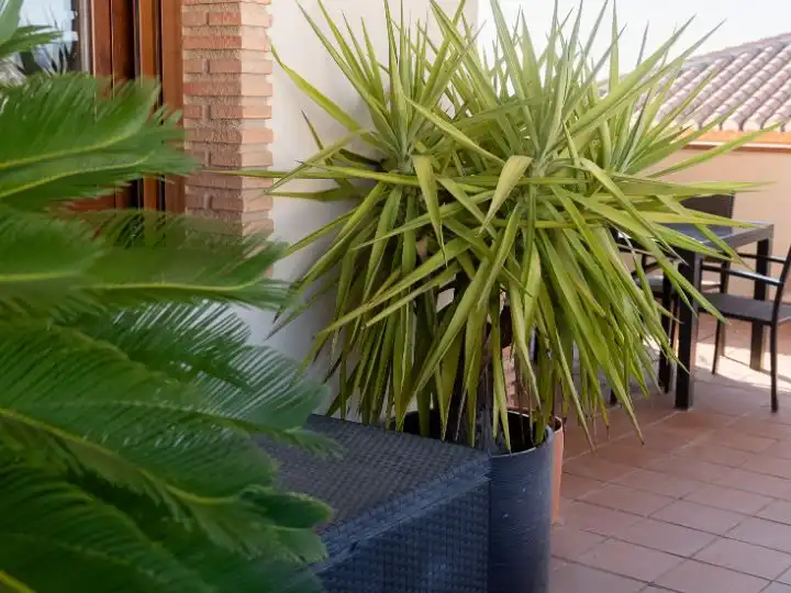 Piso de alquiler en Calle Lindero, 2, La Zubia Ciudad Terraza de Piso de alquiler en La Zubia con Aire acondicionado, Calefacción y Jardín privado