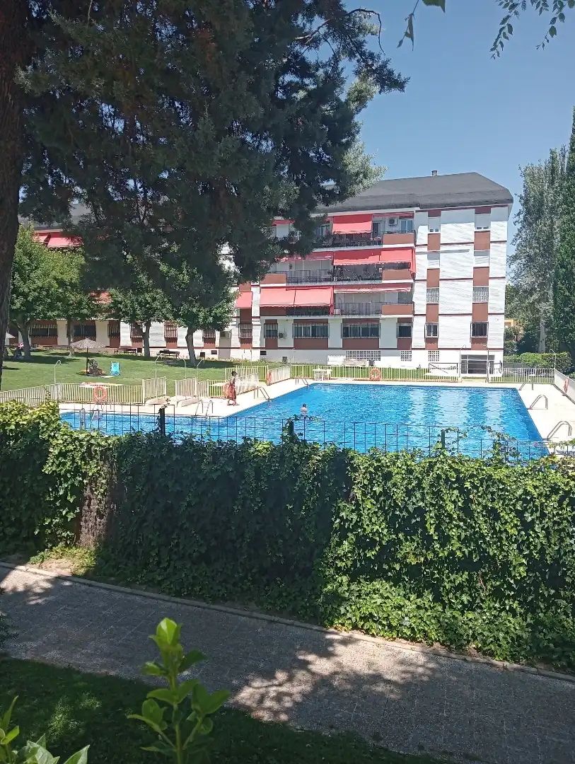 Piscina de Piso de alquiler en San Sebastián de los Reyes con Parquet, Terraza y Piscina