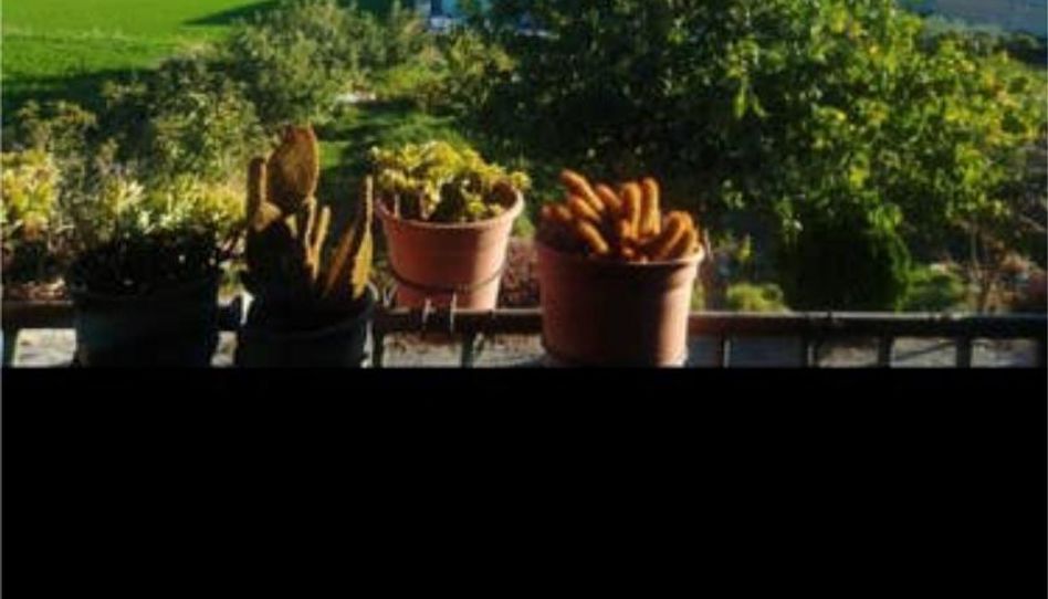 Casa o chalet de alquiler en Bell-lloc d'Urgell, Lleida - imagen 1 Foto 1 de Casa o chalet de alquiler en Bell-lloc d'Urgell, Lleida