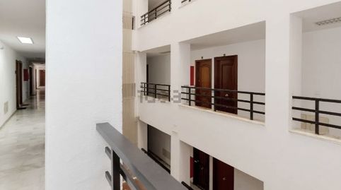 Estudio en venta en Avenida San Francisco, 16, Calvario, Torremolinos - imagen 5 Foto 5 de Estudio en venta en Avenida San Francisco, 16, Calvario, Torremolinos