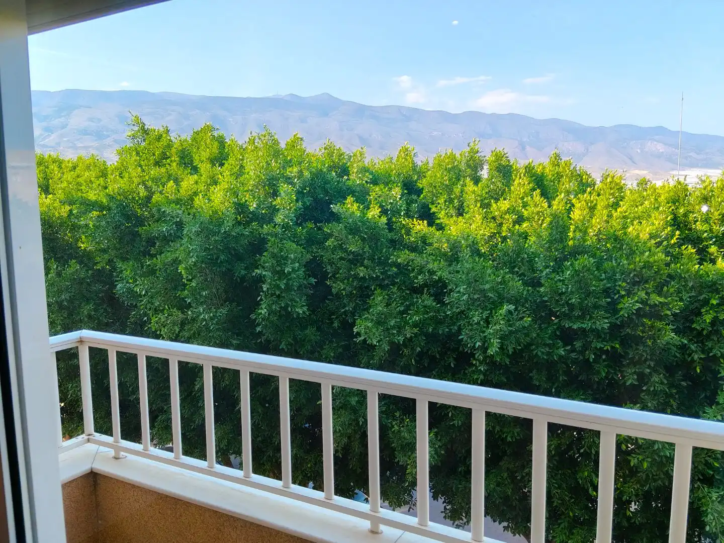 Piso en venta en Calle San Diego, 15, Ejido Centro Terraza de Piso en venta en El Ejido con Aire acondicionado, Calefacción y Parquet
