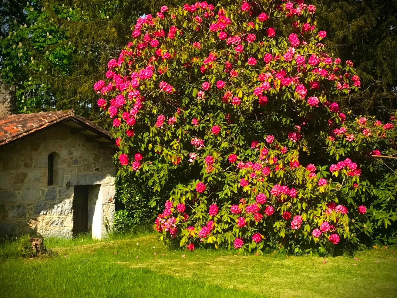 Garden of Houses for rent in Nava  with Heating, Private garden and Parquet flooring