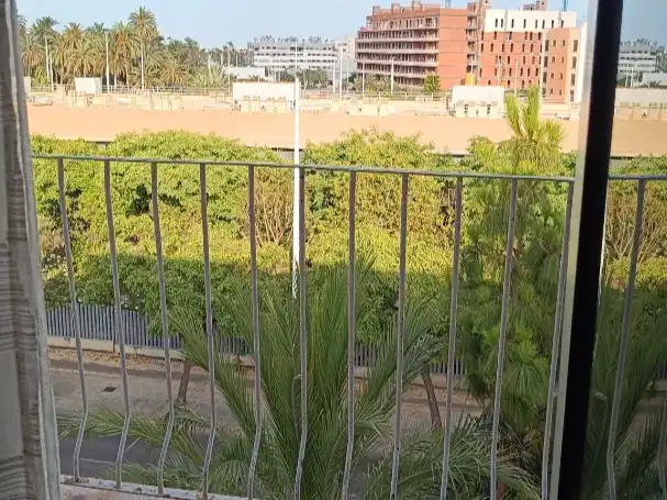 Flat for rent in Calle Pintor Benedicto, 13, El Palmeral - San Antón