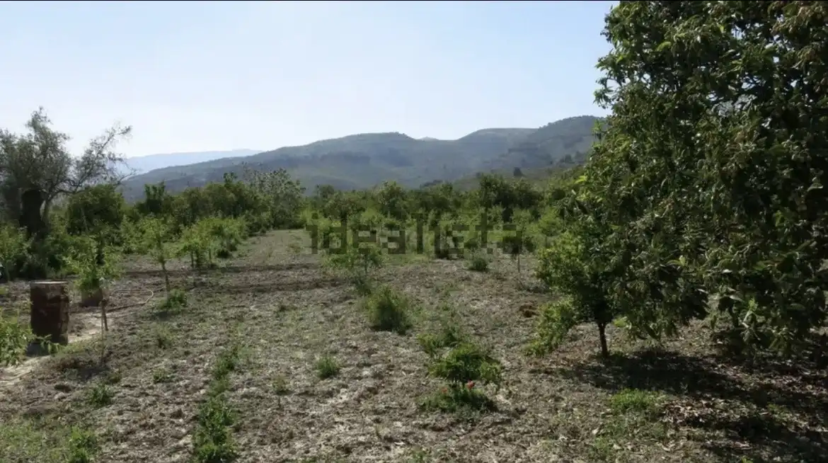 Finca rústica en venta en Calle Sagasta, 2, Lecrín Finca rústica en venta en Lecrín
