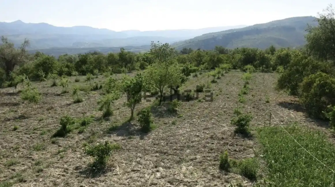 Finca rústica en venta en Calle Sagasta, 2, Lecrín Finca rústica en venta en Lecrín