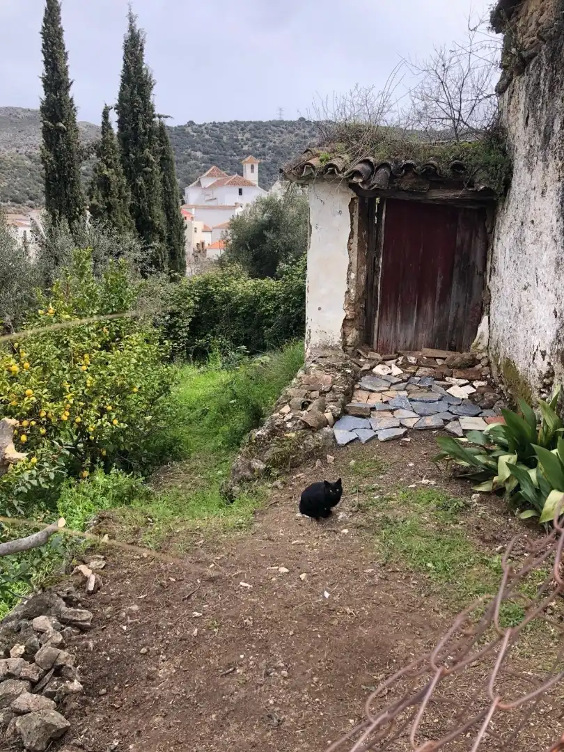 Detached homes for sale in Calle Larga, 23, Parauta Detached homes for sale in Calle Larga, 23, Parauta