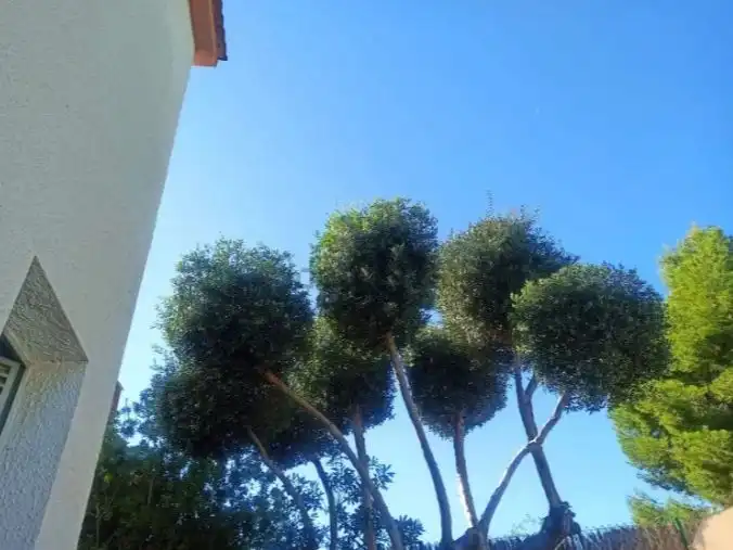 Vista exterior de Casa o chalet en venta en El Vendrell con Terraza, Piscina y Balcón