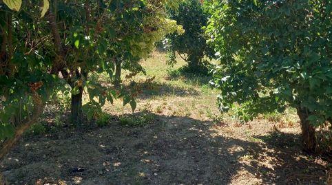 Piso en venta en Calle Villar, 8, Corrales del Vino, Zamora - imagen 5 Foto 5 de Piso en venta en Calle Villar, 8, Corrales del Vino, Zamora