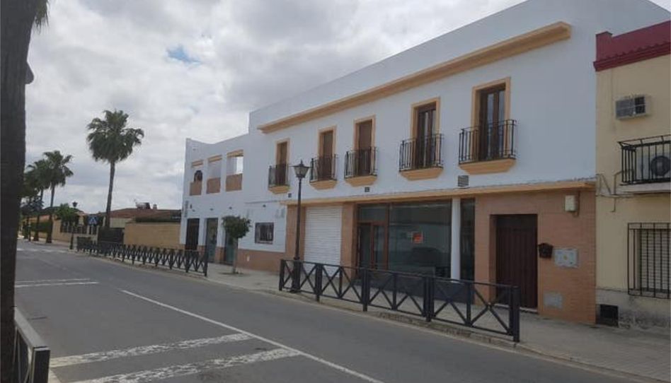 Flat for rent in Villanueva del Ariscal, Sevilla - image 1 Photo 1 of Flat for rent in Villanueva del Ariscal, Sevilla