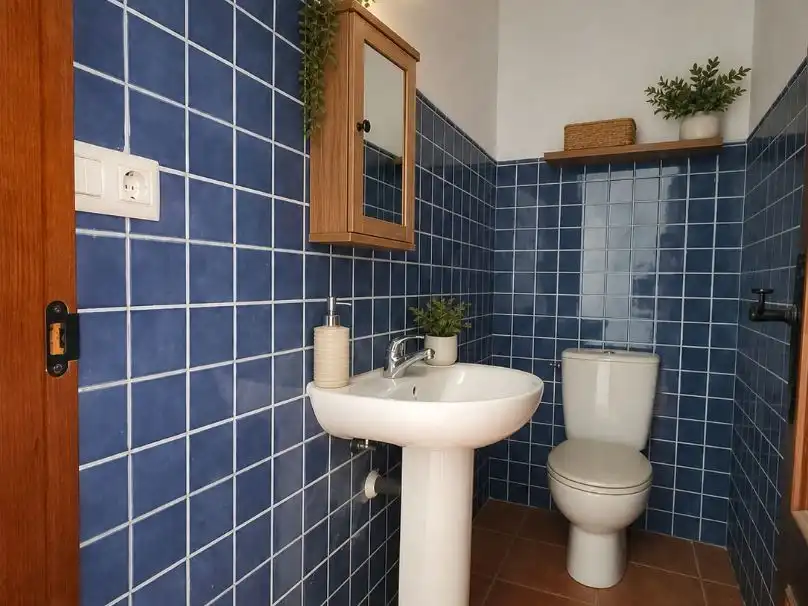 Detached homes for sale in Calle las Parras, 35, Grazalema Bathroom of Detached homes for sale in Grazalema