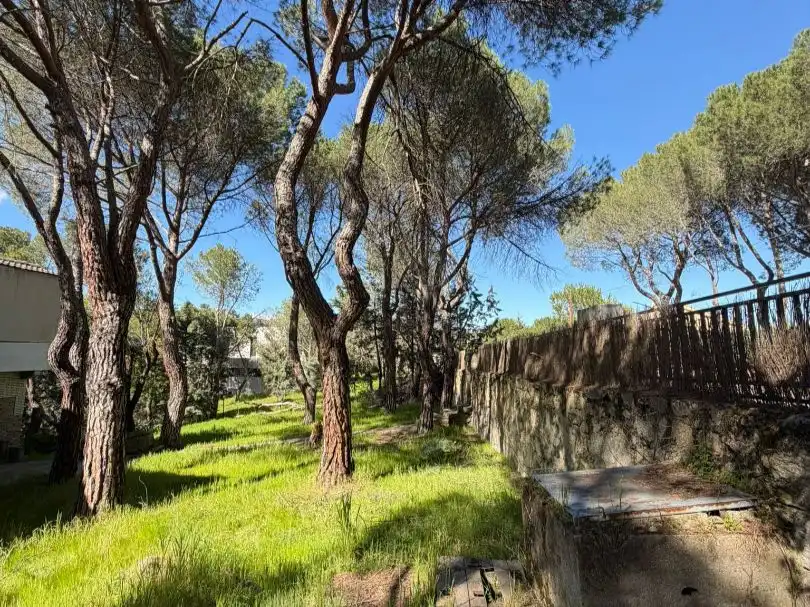 Houses for sale in Las Rozas de Madrid  with Heating, Private garden and Storage room