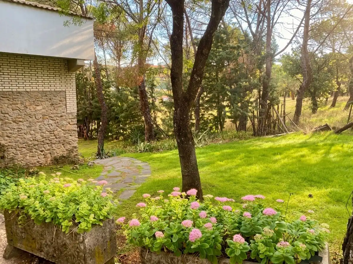 Garden of Houses for sale in Las Rozas de Madrid  with Heating, Private garden and Storage room
