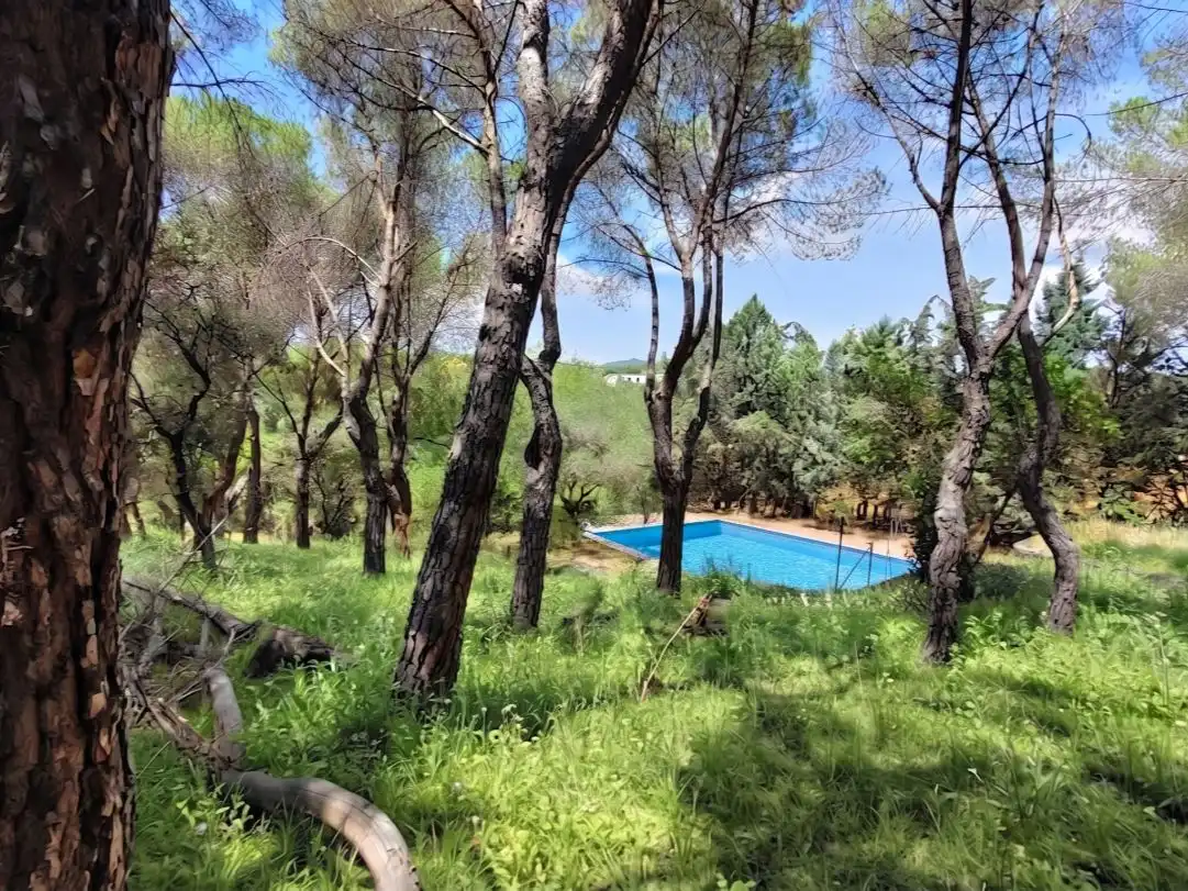 Swimming pool of Houses for sale in Las Rozas de Madrid  with Heating, Private garden and Storage room