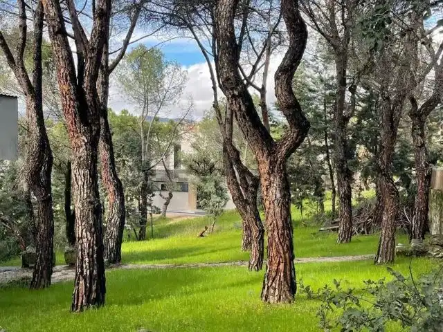 Exterior view of Houses for sale in Las Rozas de Madrid  with Heating, Private garden and Storage room