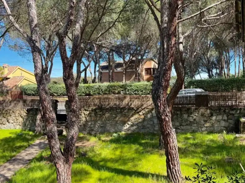 Garden of Houses for sale in Las Rozas de Madrid  with Heating, Private garden and Storage room