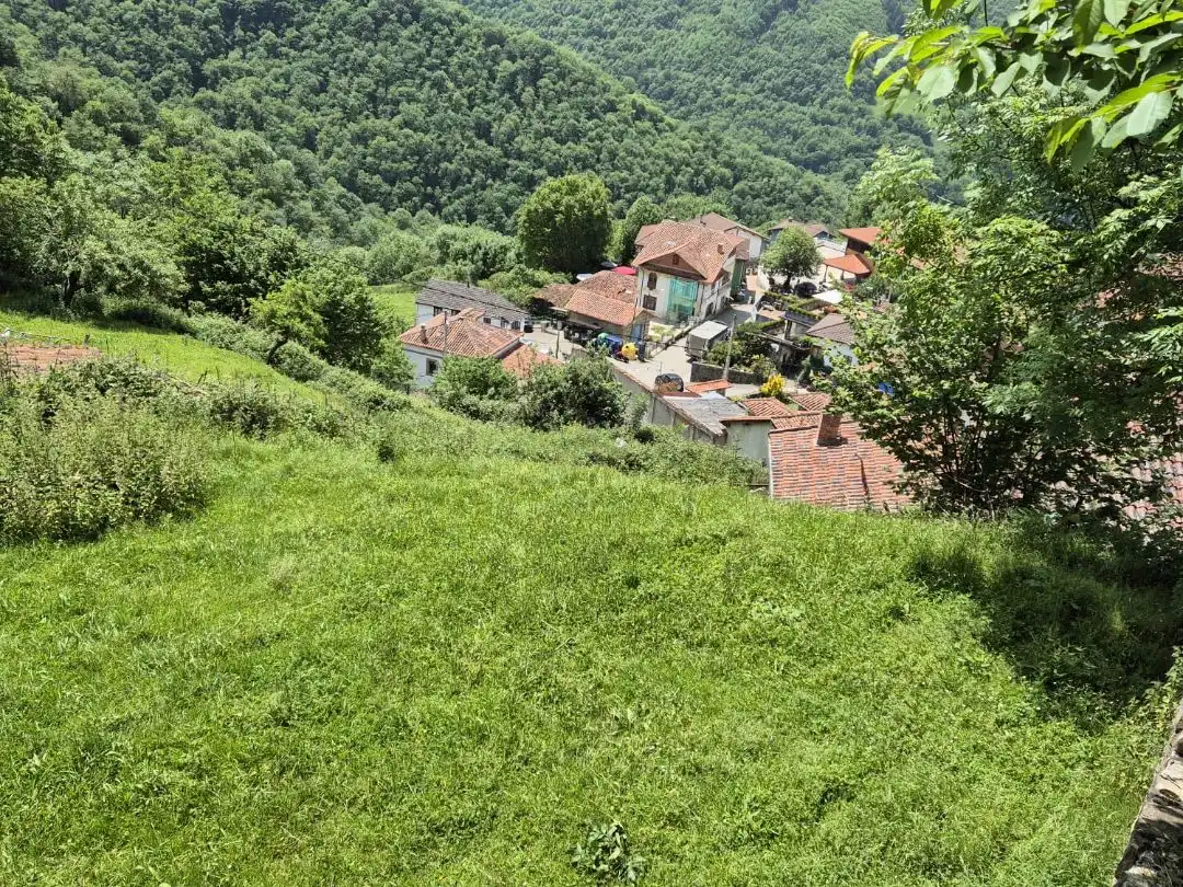 Houses for sale in Puente de Los Grazos - San Juan de Beleño, 2, Ponga Exterior view of Houses for sale in Ponga