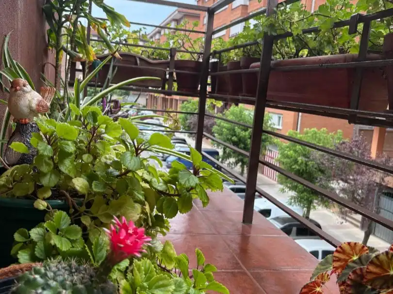 Balcony of Flat for sale in Laudio / Llodio  with Balcony
