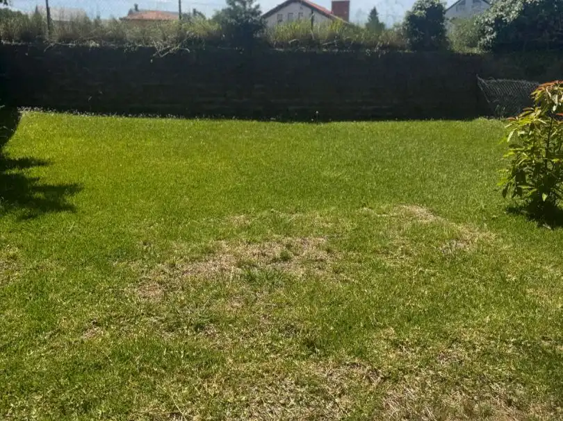 Houses for sale in Barrio las Casucas, 18, Polanco