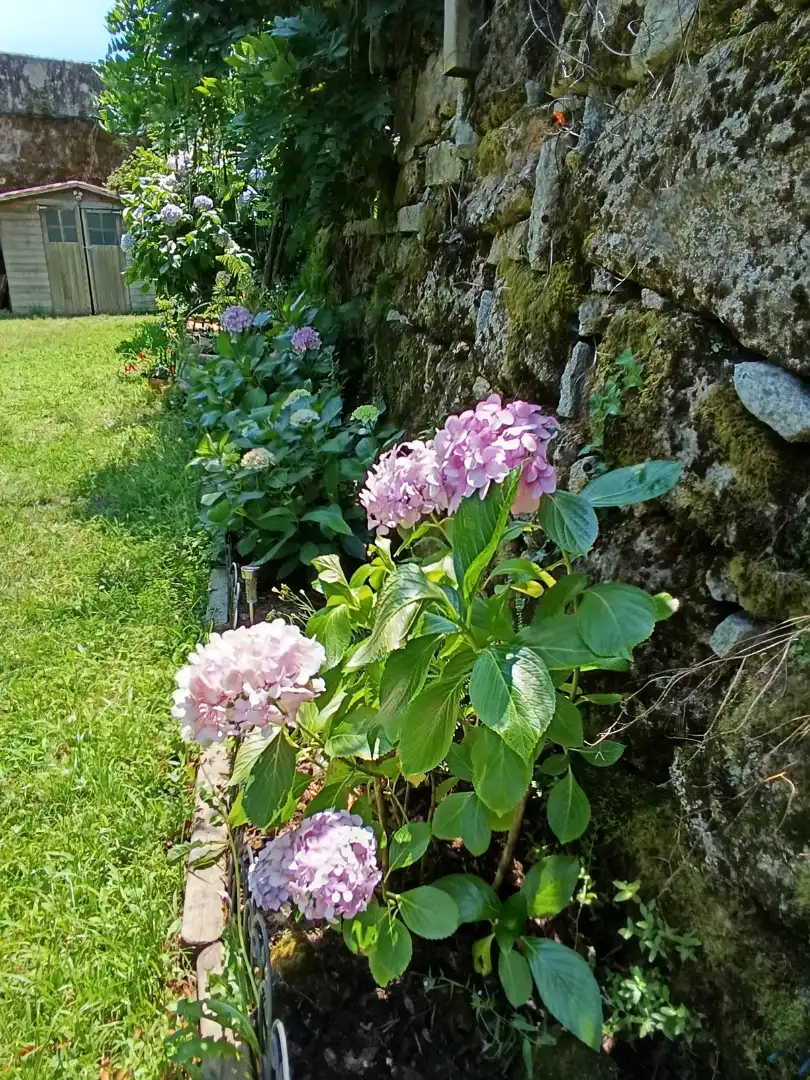 Wohnung zum Verkauf in Lugar a Ponte, 65, A Arnoia Garten von Wohnung zum Verkauf in A Arnoia mit Heizung, Privatgarten und Abstellraum