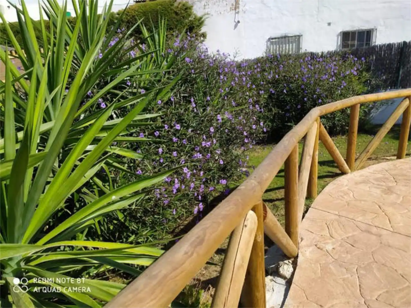Garden of Apartments for rent in Rota  with Private garden, Terrace and Storage room