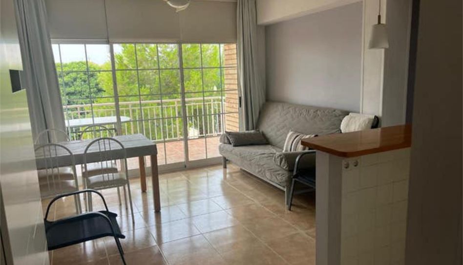 Flat for rent in Punta Prima, Orihuela - image 1 Photo 1 of Flat for rent in Punta Prima, Orihuela