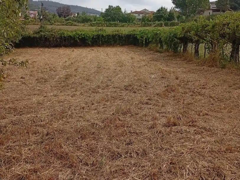 Flat for sale in Lugar Sulago, 55, Vila de Cruces Flat for sale in Vila de Cruces with Private garden, Parquet flooring and Storage room