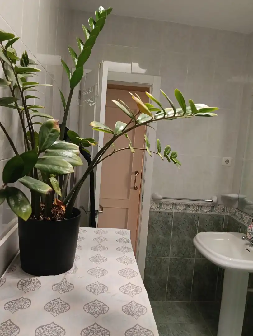 Apartament en venda a Avenida San Jose de, 356, San José Bany de Apartament en venda en Níjar amb Aire condicionat, Calefacció i Parquet