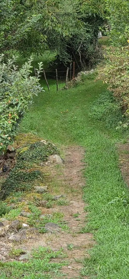 Grundstücke zum Verkauf in Barrio la Rueda, 1, Cieza (Cantabria) Garten von Grundstücke zum Verkauf in Cieza (Cantabria)