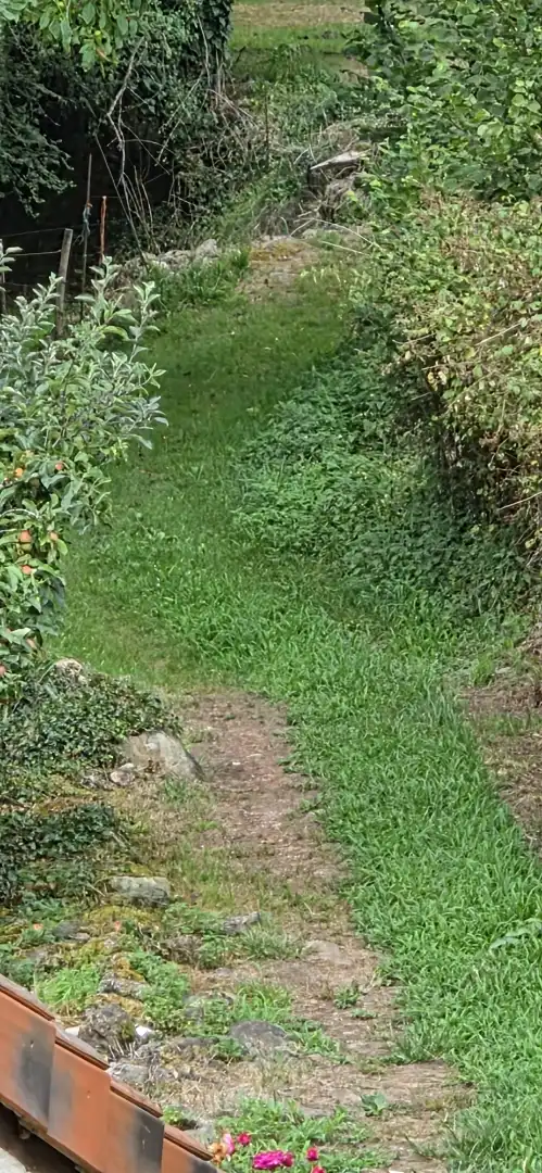 Grundstücke zum Verkauf in Barrio la Rueda, 1, Cieza (Cantabria) Garten von Grundstücke zum Verkauf in Cieza (Cantabria)