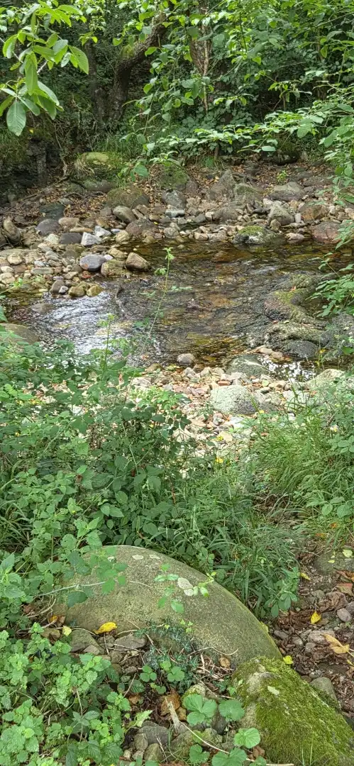 Grundstücke zum Verkauf in Barrio la Rueda, 1, Cieza (Cantabria) Außenansicht von Grundstücke zum Verkauf in Cieza (Cantabria)