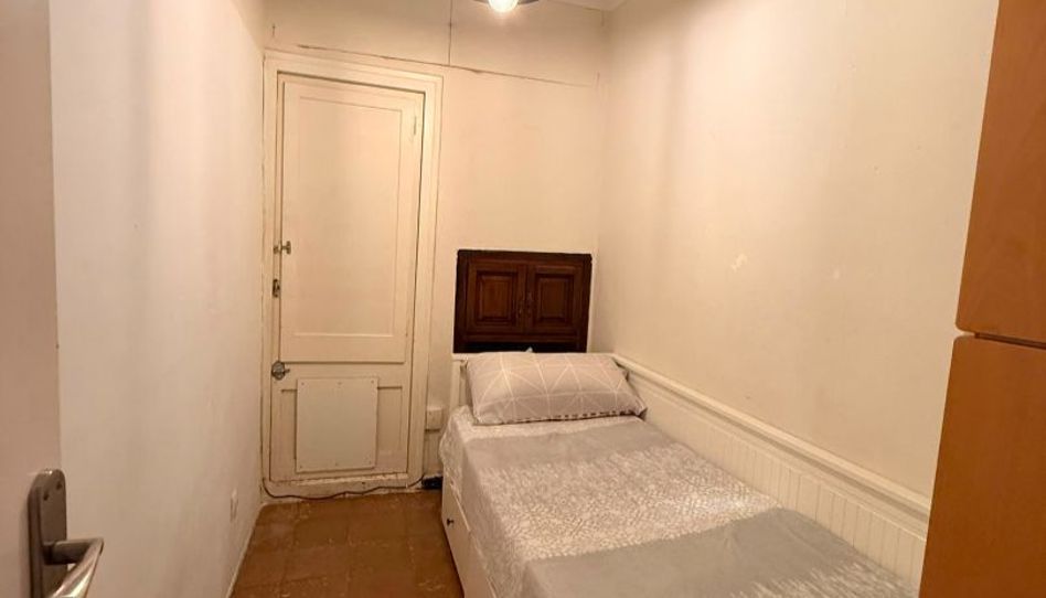 Room in Carrer Gran de Sant Andreu, 358, Sant Andreu de Palomar, Barcelona Capital - image 1 Photo 1 of Room in Carrer Gran de Sant Andreu, 358, Sant Andreu de Palomar, Barcelona Capital