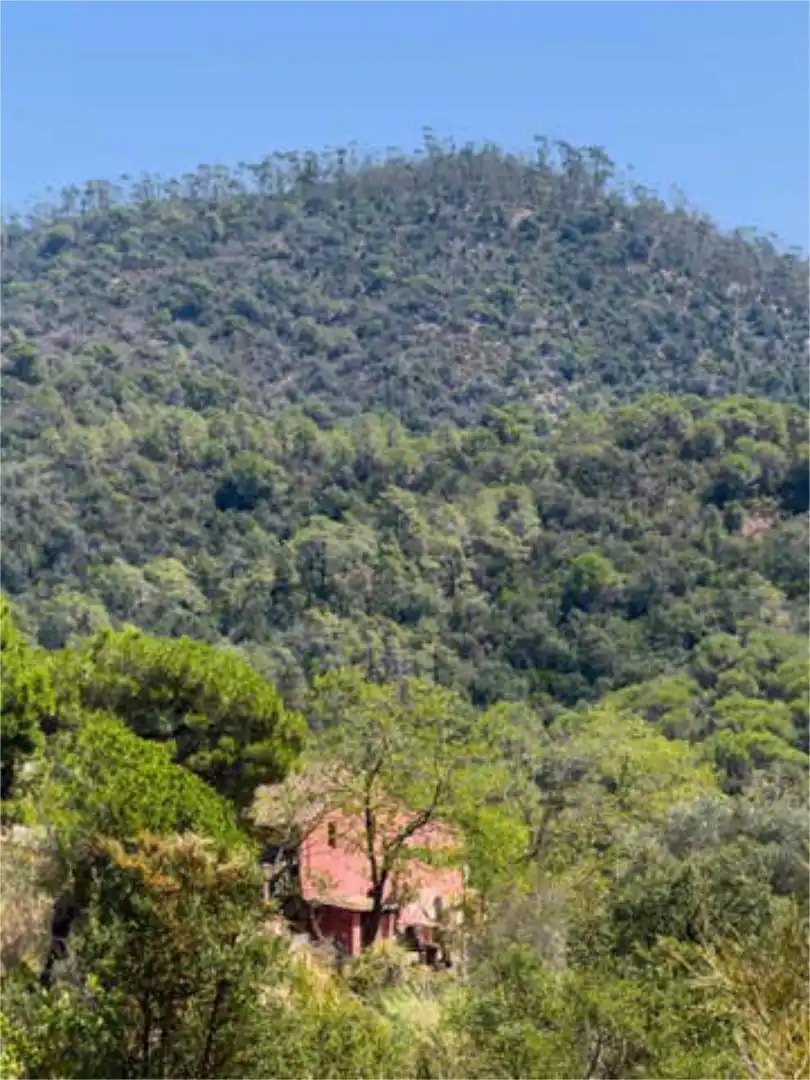 Casa o chalet en venta en Mas Mora - Sant Daniel Casa o chalet en venta en Tordera con Jardín privado, Terraza y Trastero
