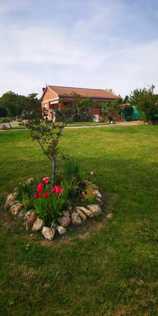 Jardí de Finca rústica en venda en Grijota amb Jardí privat, Terrassa i Piscina