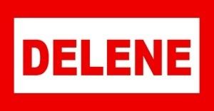 DELENE INMOBILIARIA