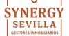 Inmuebles SYNEGY SEVILLA