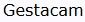 Gestacam