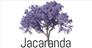 Immobilien Jacaranda Property Sales Spain SL