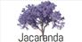 Jacaranda Property Sales Spain SL