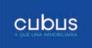 CUBUS SERVEIS DE BENS IMMOBLES,S.L.