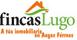 Immobles FINCASLUGO