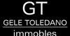 Properties Gele Toledano