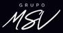 Properties Grupo MSV