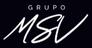 Immobles Grupo MSV