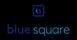 Immobles BLUE SQUARE