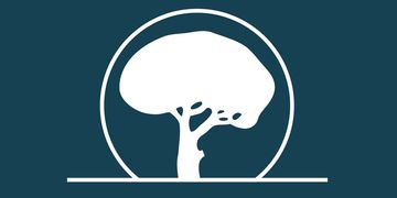 BOSCH API