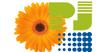 Inmuebles Pj Inmobiliaria Marbella