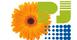 Properties Pj Inmobiliaria Marbella