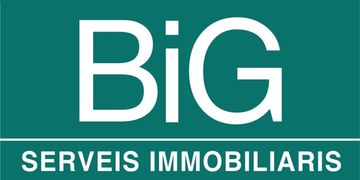 BiG SERVEIS IMMOBILIARIS (API: A10001 / AICAT: 7447)